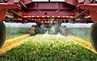 A photo showing the underside of a LaserWeeder identifying and shooting weeds with lasers in a field of leafy greens.